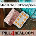 Männliche Erektionspillen new13